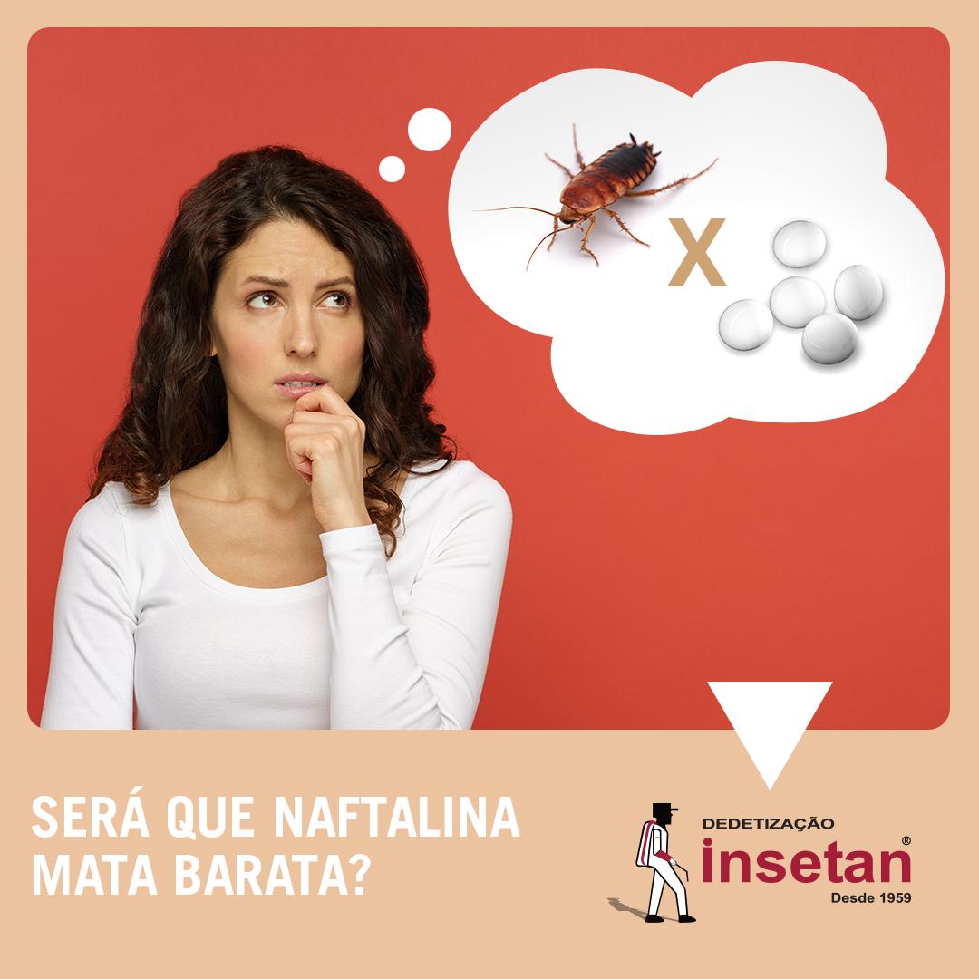 Naftalina pode matar baratas?