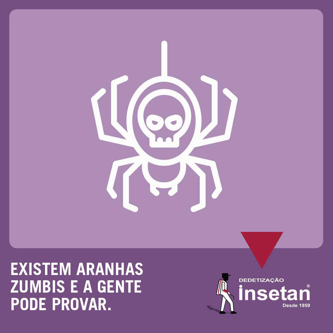 Aranhas zumbis: uma realidade que pouco gente conhece