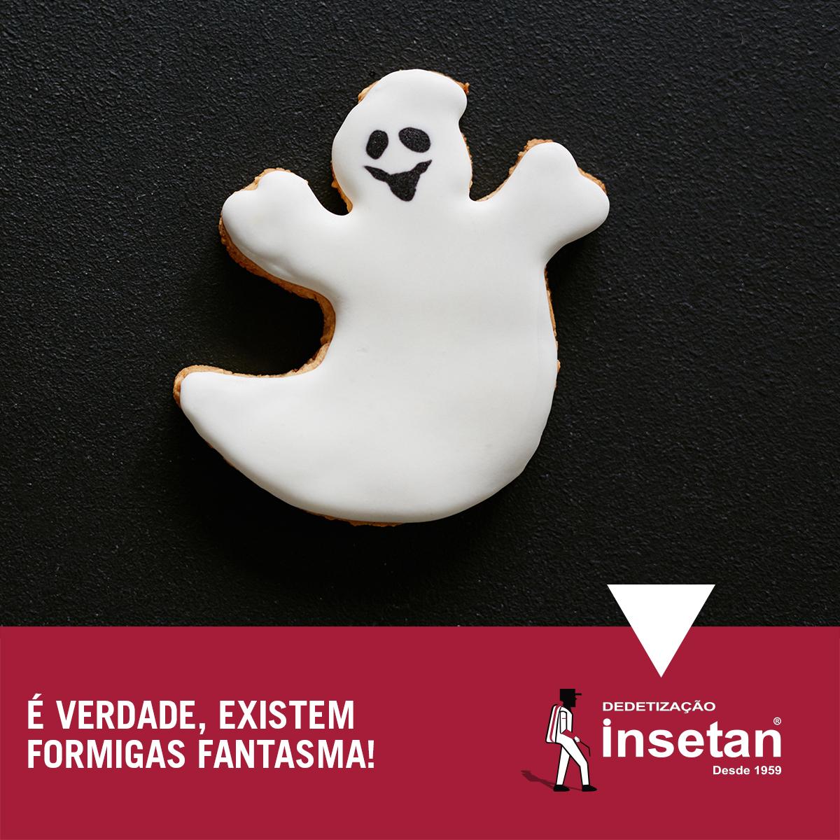 A formiga fantasma