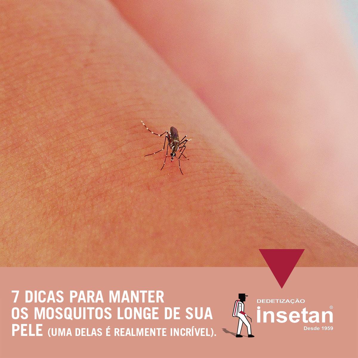 7 dicas para manter os mosquitos e pernilongos longe de sua pele (uma delas é realmente incrível)