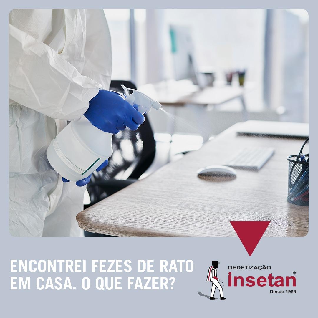 Fezes de rato em casa: se você encontrou, o que deve ser feito?