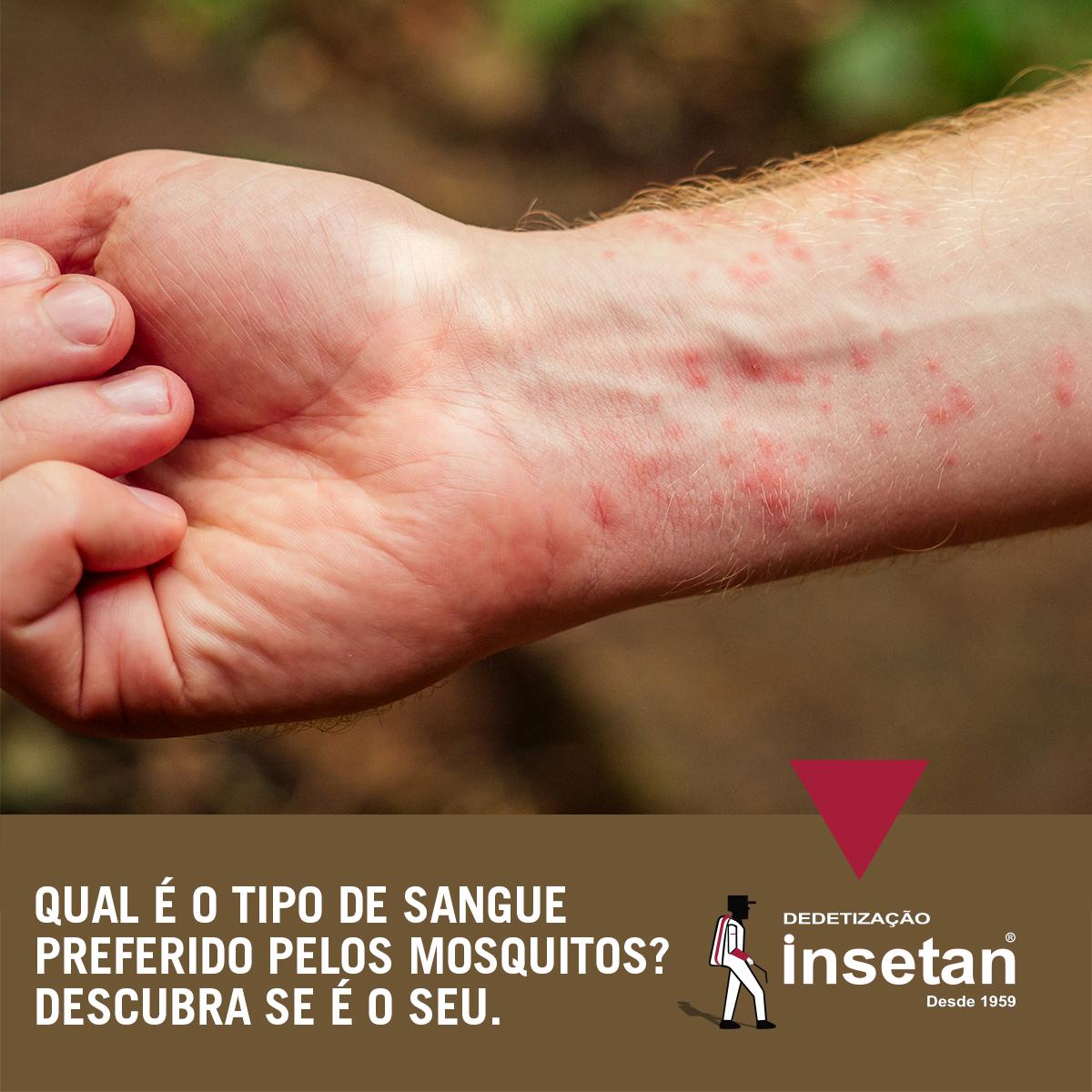 Qual tipo de sangue os mosquitos e pernilongos preferem? Seria o seu?
