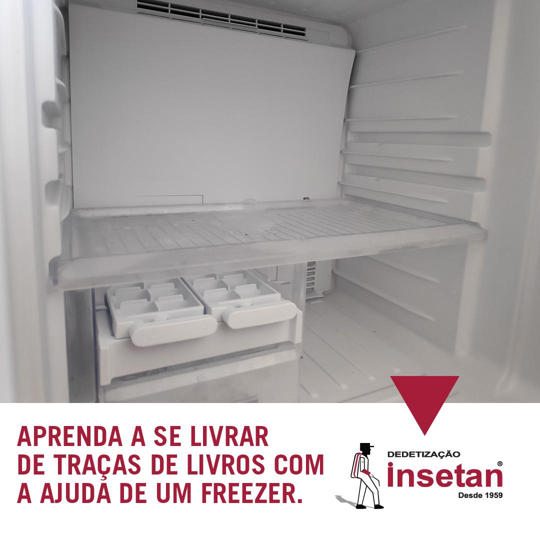 Traças em livros podem ser combatidas com a ajuda de um freezer