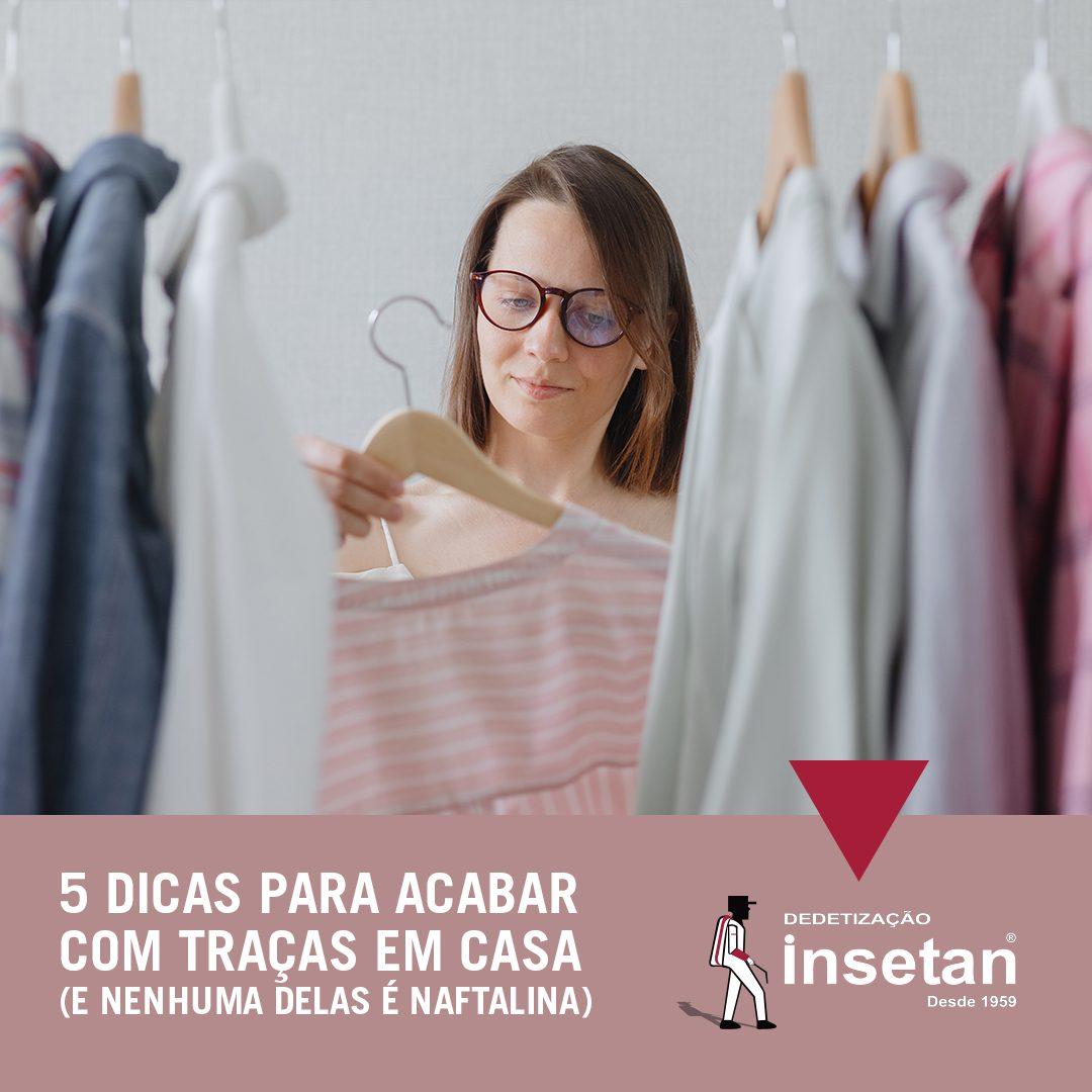 5 dicas para acabar com traças em casa (e nenhuma delas é naftalina)