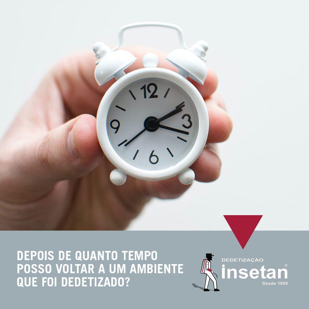 Depois de quanto tempo é seguro voltar para uma casa que passou por dedetização?