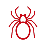 Dedetização de Aranhas // Dedetizadora em BH