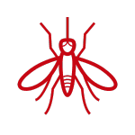 Dedetização de Mosquitos  // Dedetizadora em BH